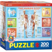 The Human Body Pussel 200 bitar